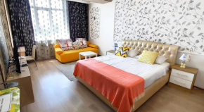 Apartment with panoramic view in the center